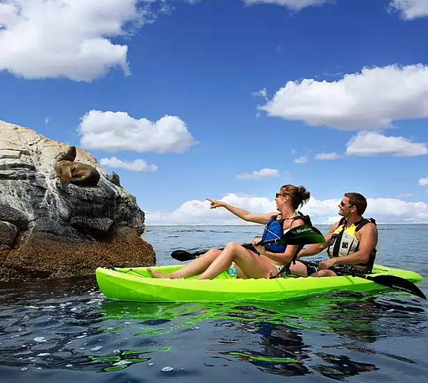 Lifetime Kokanee 10'6" Tandem Kayak (Assorted Colors)